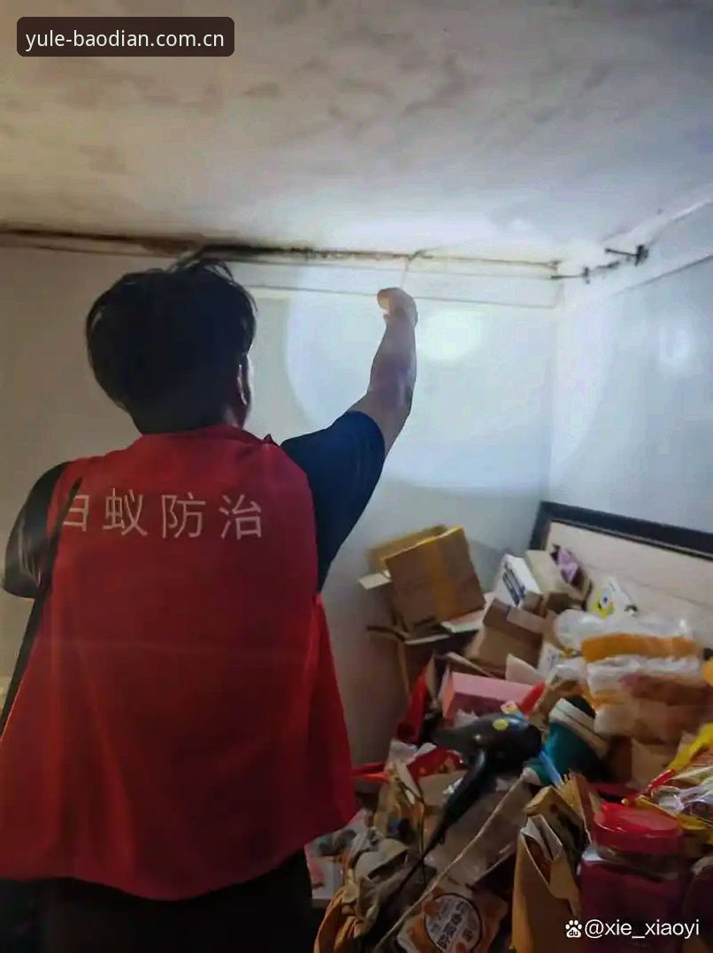 澳门十大娱乐官网入口平台真人视讯赔率安全吗 安全投注全面对比:澳门十大娱乐官网入口平台真人视讯赔率 vs 需要警惕的几个陷阱